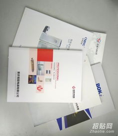 樂清樣本畫冊設(shè)計(jì)與印刷服務(wù) 宣傳冊、單張、說明書與網(wǎng)站設(shè)計(jì)一體化解決方案