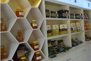 東莞特產展柜設計廠網站設計 融合地域特色與現(xiàn)代展示技術